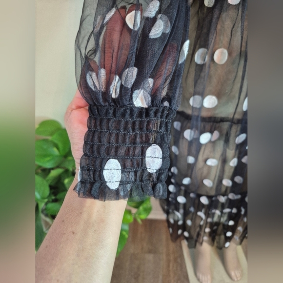 Livie & Luca Black Sheer Polka Dot Dress - Picture 6 of 7